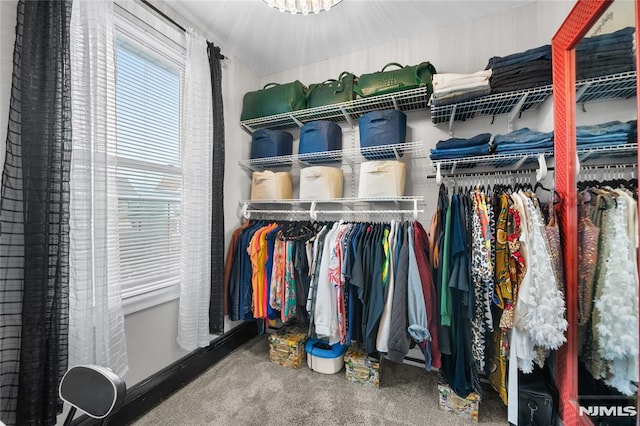 spacious closet featuring carpet floors