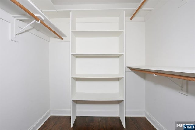 spacious closet featuring wood finished floors