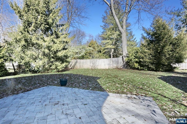 view of yard featuring a patio and fence