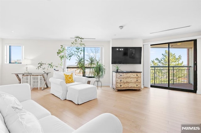 living room featuring light wood-style floors