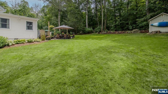 view of yard featuring an outbuilding and a patio area