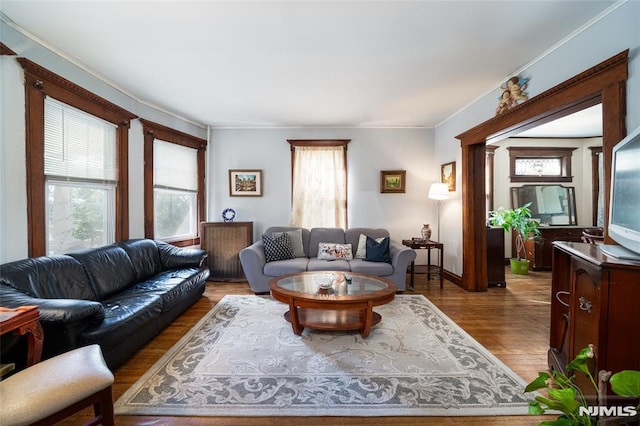 living area with ornamental molding and wood finished floors