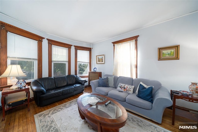 living area with wood-type flooring and crown molding