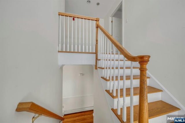 staircase featuring wood finished floors