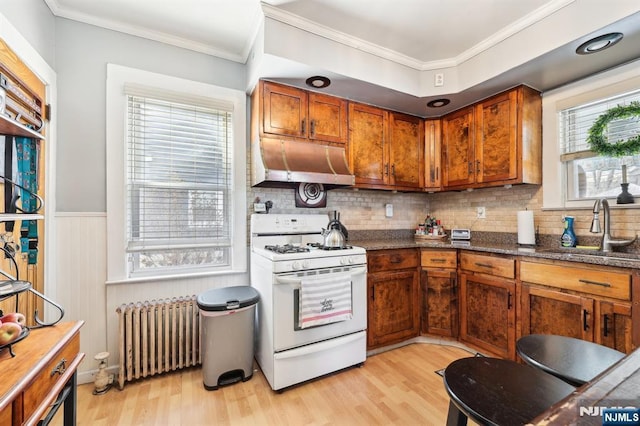 kitchen featuring gas range gas stove, radiator, ornamental molding, a sink, and under cabinet range hood