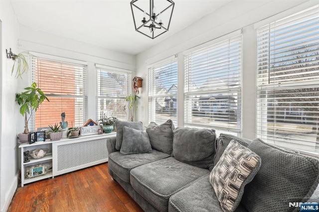 sitting room with hardwood / wood-style flooring, radiator heating unit, and an inviting chandelier