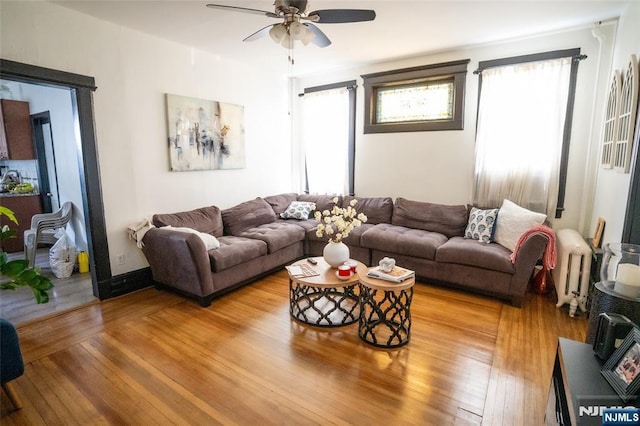 living room featuring ceiling fan and hardwood / wood-style floors