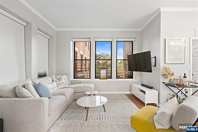 living area featuring dark wood-style floors, ornamental molding, and baseboards