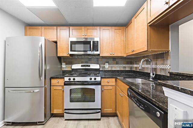 kitchen with backsplash, dark stone counters, stainless steel appliances, and a sink