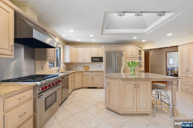 kitchen featuring high end appliances, a tray ceiling, a sink, under cabinet range hood, and a center island