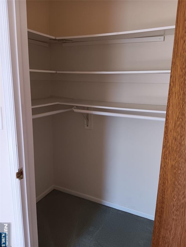 view of walk in closet