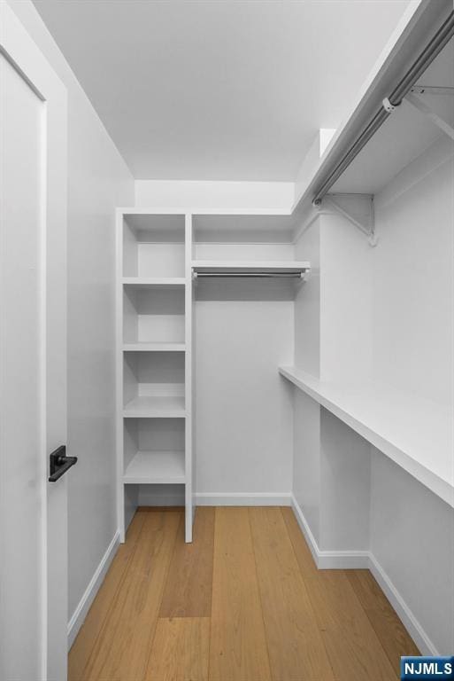 spacious closet featuring light wood finished floors