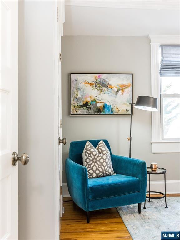 living area featuring wood finished floors and baseboards