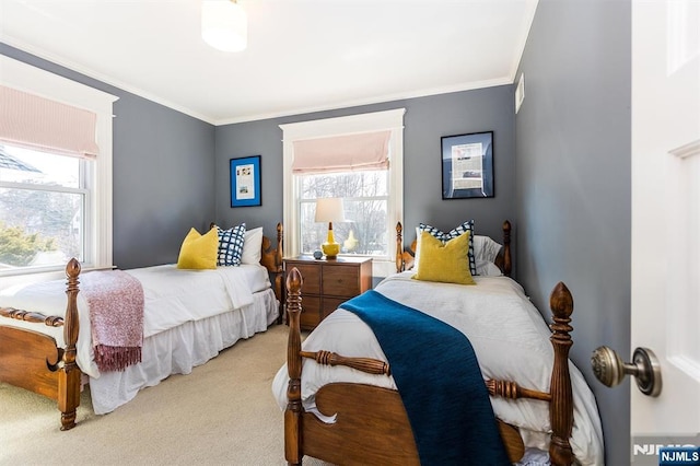 bedroom with carpet, multiple windows, and crown molding