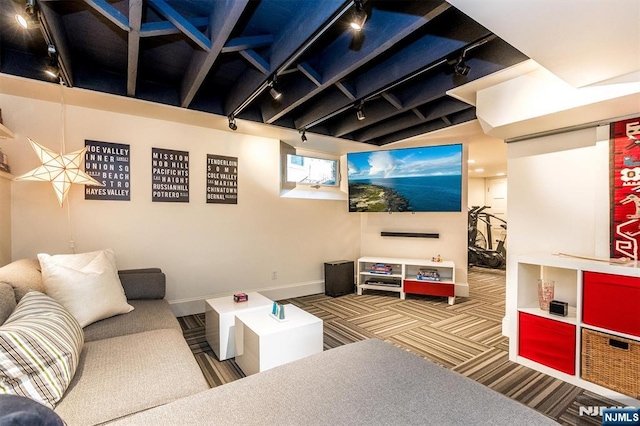 living area with carpet floors, rail lighting, and baseboards