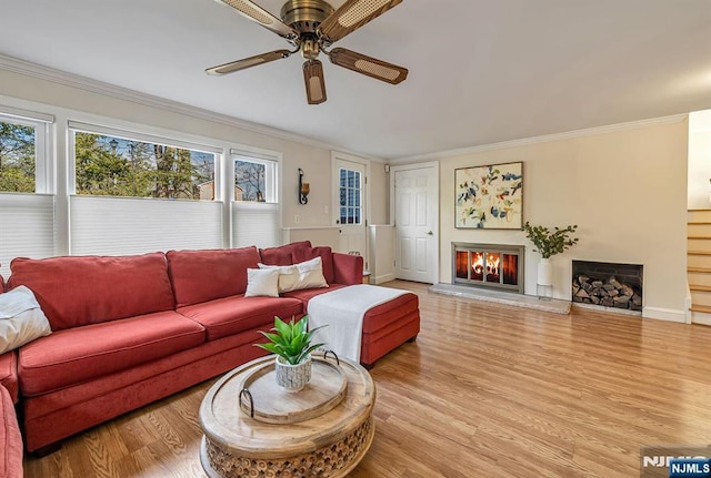 living area featuring a ceiling fan, wood finished floors, a warm lit fireplace, and ornamental molding