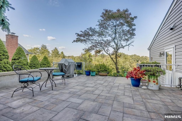 view of patio / terrace featuring outdoor dining area and a grill