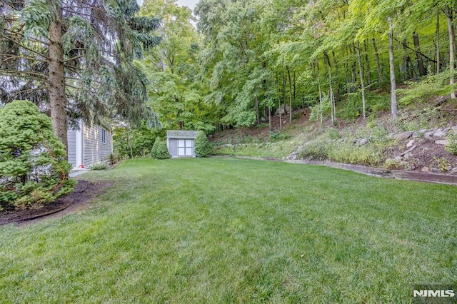 view of yard featuring an outbuilding and a shed