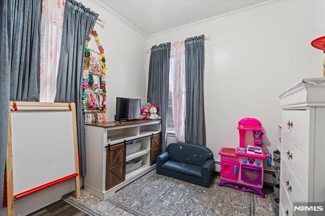 rec room with crown molding and wood finished floors