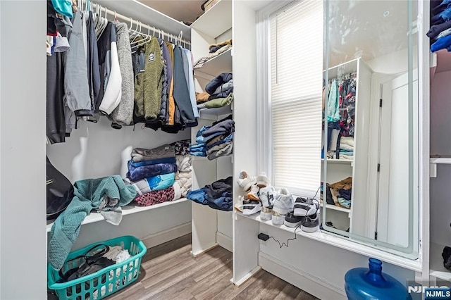 walk in closet featuring wood finished floors