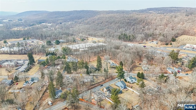 birds eye view of property featuring a forest view and a mountain view