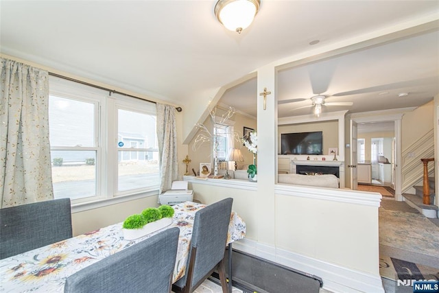 dining space featuring ornamental molding, ceiling fan, and stairs