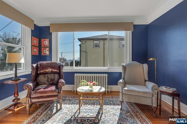 living area featuring radiator, wood finished floors, and baseboards