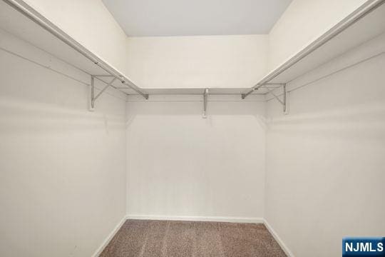 walk in closet with carpet