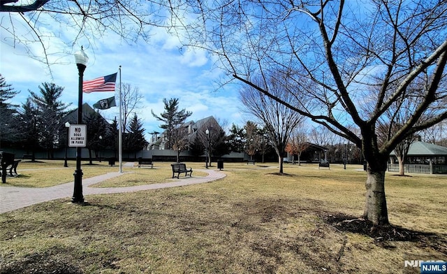 view of home's community with a yard