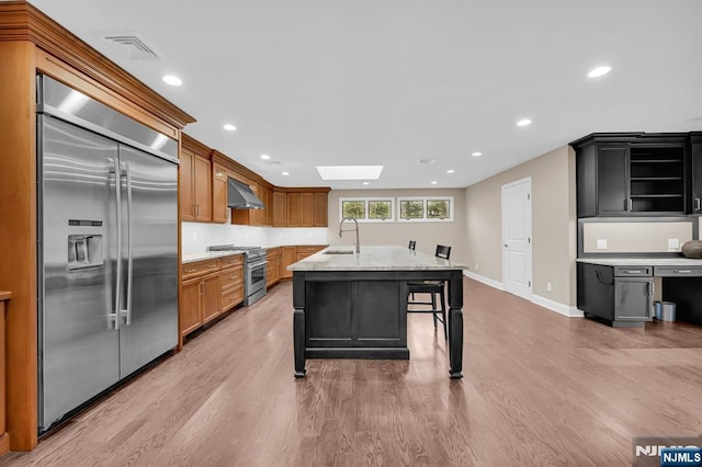 kitchen with a skylight, high end appliances, range hood, light wood-style floors, and a sink