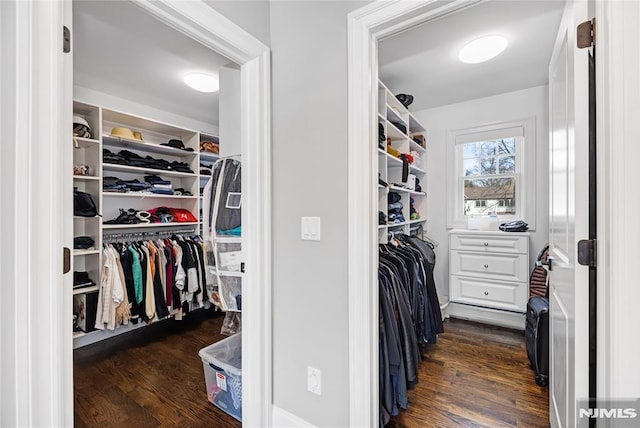 spacious closet featuring dark wood-style floors