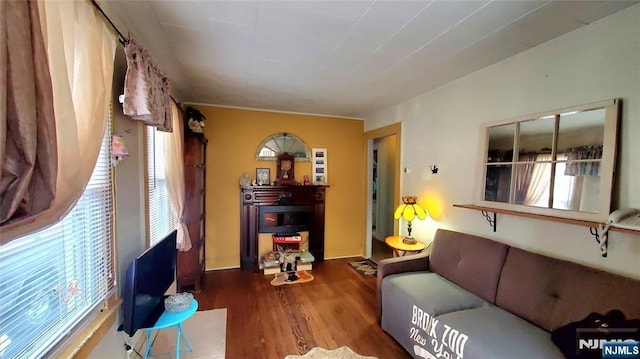 living area featuring wood finished floors