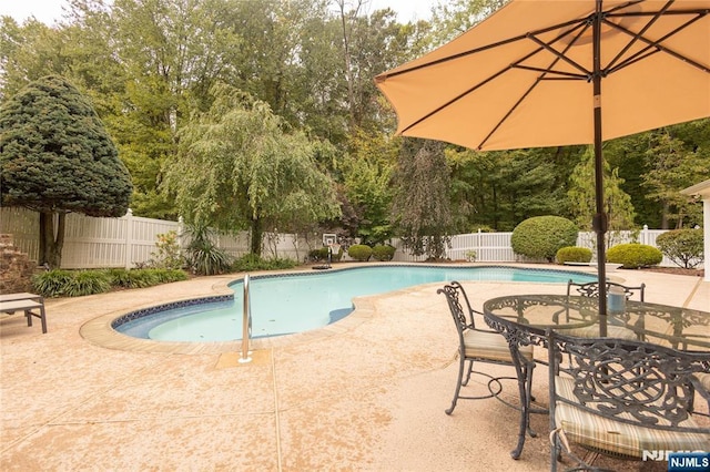 view of pool with a patio, a fenced backyard, and a fenced in pool