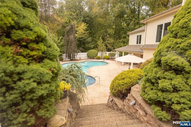 outdoor pool featuring a patio and fence