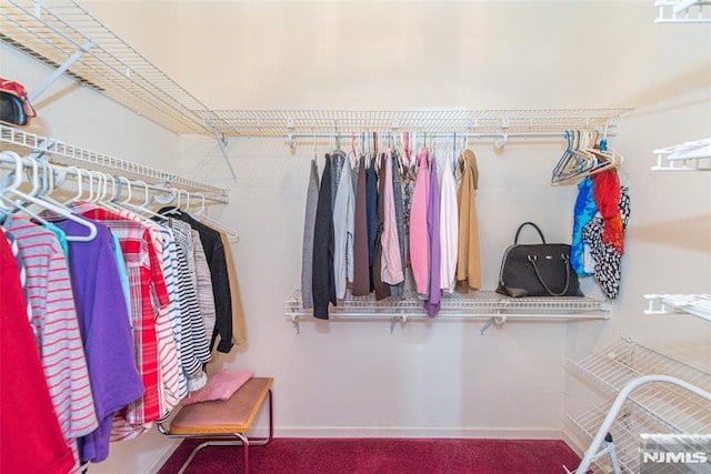 spacious closet with carpet flooring