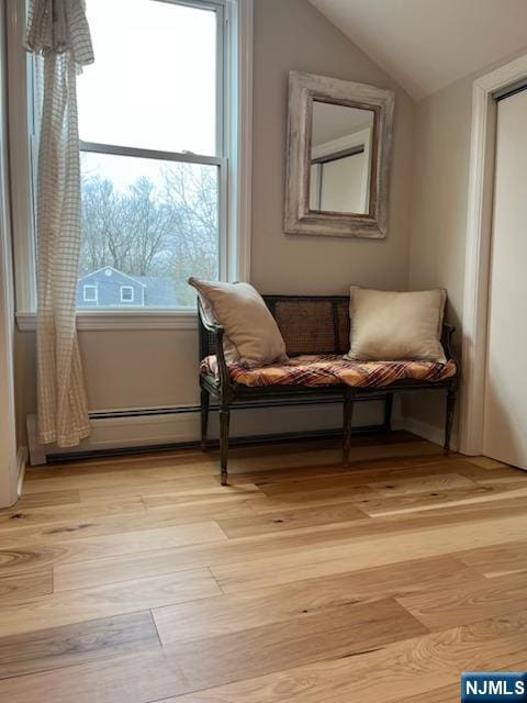 living area featuring light wood-style floors and vaulted ceiling