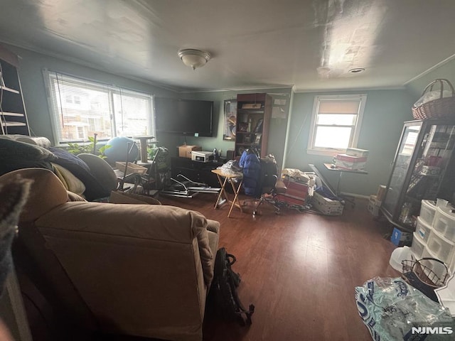 living room with wood finished floors and crown molding