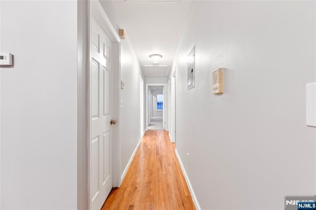 hall with baseboards, attic access, and light wood-style floors