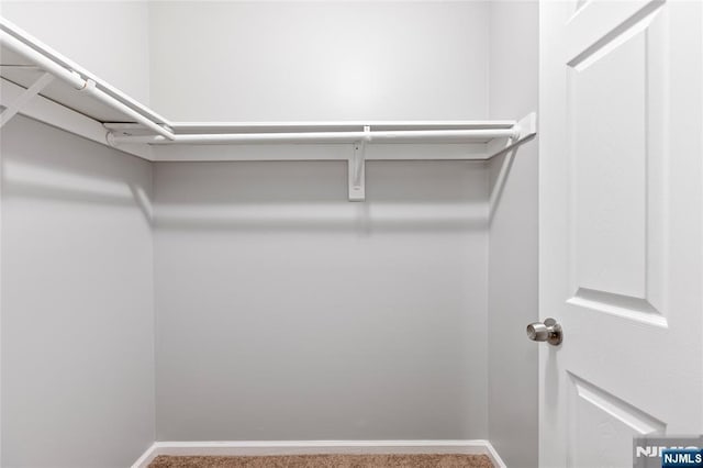 spacious closet with carpet floors