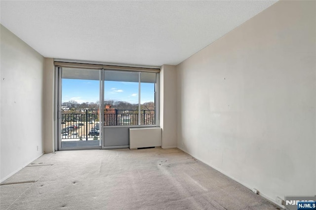 unfurnished room featuring expansive windows, a textured ceiling, and carpet floors