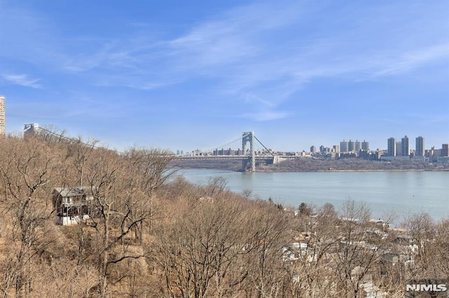 water view with a view of city