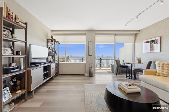 living area with floor to ceiling windows, light wood-style flooring, and track lighting