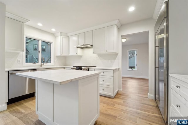 kitchen with light countertops, light wood-type flooring, decorative backsplash, stainless steel dishwasher, and a sink