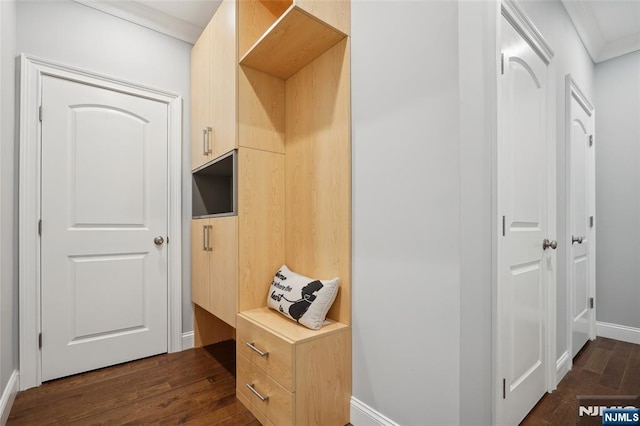 mudroom featuring dark wood-type flooring, baseboards, and ornamental molding