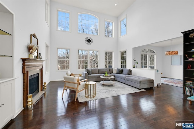 living room with a wealth of natural light, a glass covered fireplace, and wood-type flooring