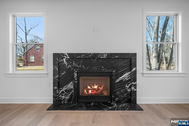 interior details featuring baseboards, wood finished floors, and a fireplace