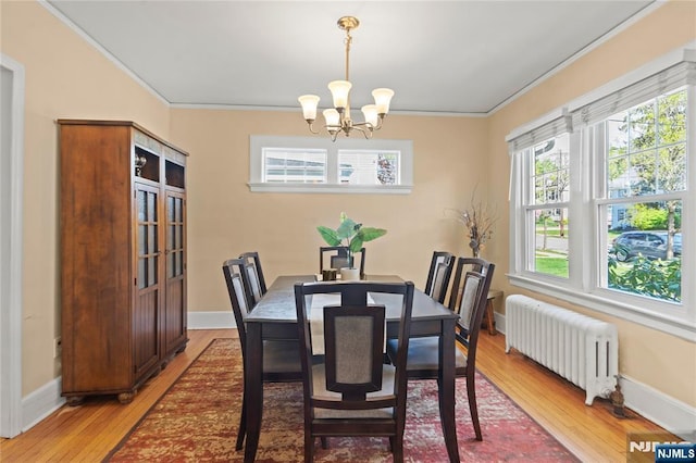 dining space featuring crown molding, a chandelier, light wood-style flooring, and radiator