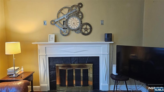 details featuring baseboards and a fireplace