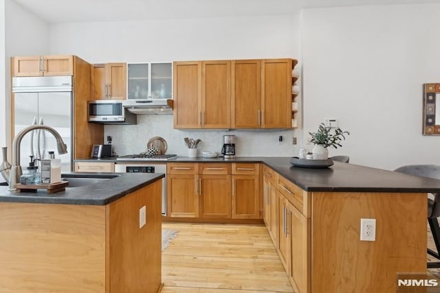 kitchen featuring a peninsula, stainless steel appliances, a sink, under cabinet range hood, and dark countertops