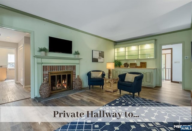 living area with wood finished floors, ornamental molding, and a fireplace